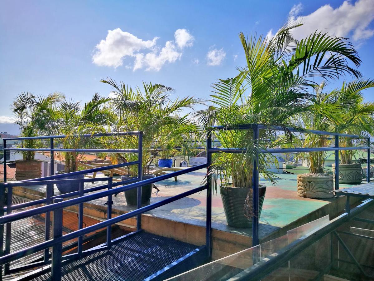 Hotel Casa 69 ซานโฮเซ ภายนอก รูปภาพ